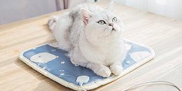 智能温控宠物电热毯方案